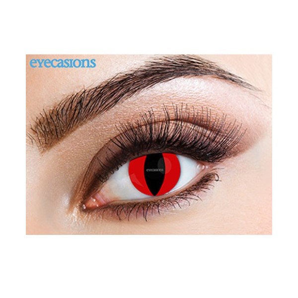 15 Cat Contact Lenses Halloween Images